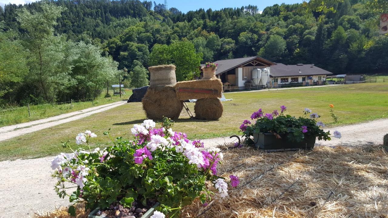 Torcegno Agriturismo Fattoria Dalcastagne מראה חיצוני תמונה