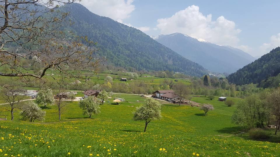 Torcegno Agriturismo Fattoria Dalcastagne מראה חיצוני תמונה